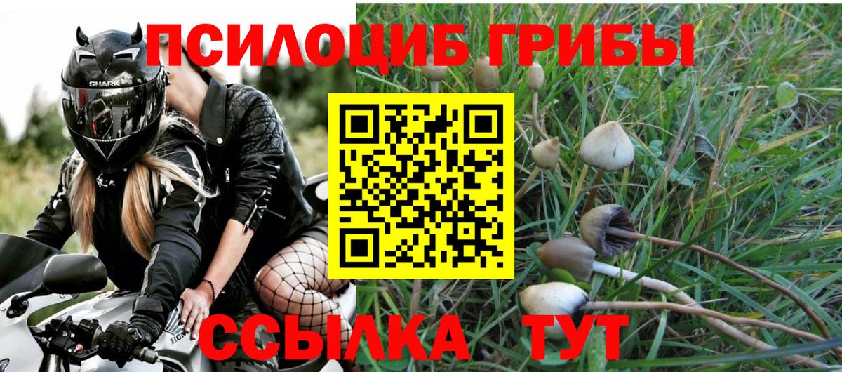 Псилоцибиновые грибы Magic Shrooms  Галлюциногенные грибы прущие грибы  Вход с VPN  Нижневартовск 